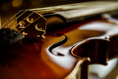A closeup shot of a violinの写真素材
