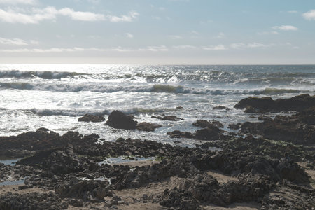 A beautiful view of the beach on a sunny day