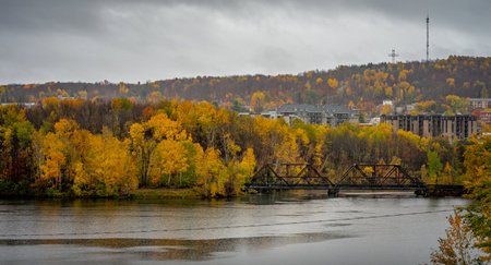 The urban area amid dense autumn vegetation on the coast of the lake against a cloudy sky
