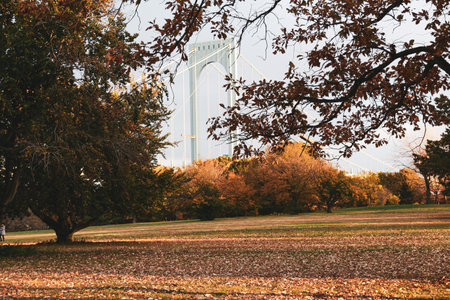 A field with autumn trees and a bridge in the background