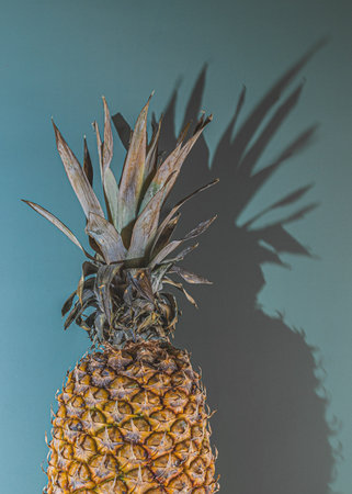 A vertical shot of pineapple and its shadow isolated on a green backgroundの写真素材
