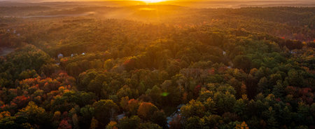 An aerial view of a beautiful autumn forest during sunset