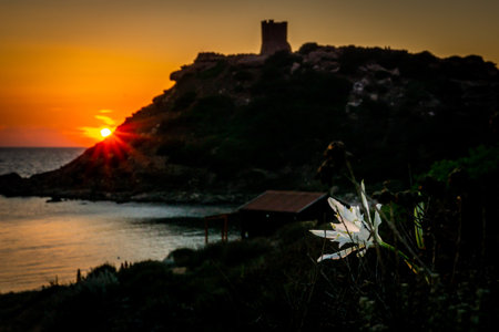 A beautiful shot of a bright sunset on the shore of Sardinia, Italyの写真素材