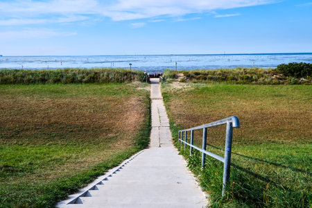 A stairway in a green field leading to the beach during daylight