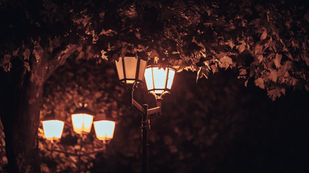 The street lamps illuminate the trees.