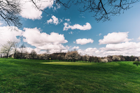 A beautiful shot of a green meadow with trees in the backgroundの写真素材