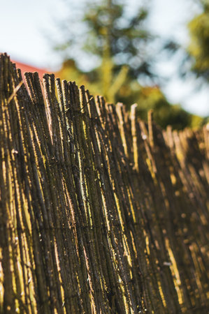 A shallow focus shot of a bamboo fence with trees in the backgroundの写真素材