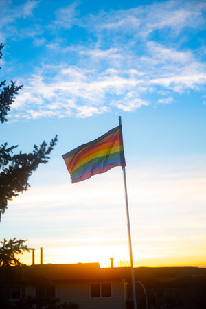 A vertical shot of an LGBT flag stuck on a pipe in the background of a sunset.