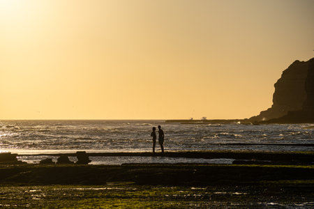 The silhouettes of the young couple standing on the shore at sunset.の写真素材