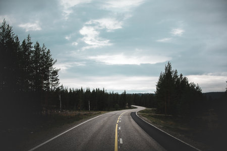 A winding asphalt road near a dense fir forest