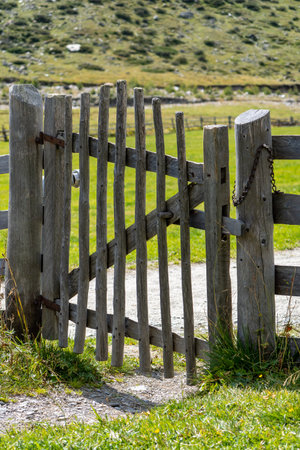A vertical shot of a wooden gate in a parkの写真素材