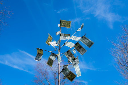 A low angle shot of a money tree surrounded by other treesの写真素材