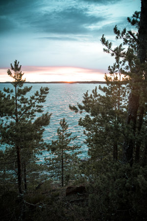 A vertical shot of trees by the sea during sunsetの写真素材