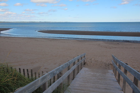 A beautiful view of a wooden path going to the beach with a blue sky in the backgroundの写真素材
