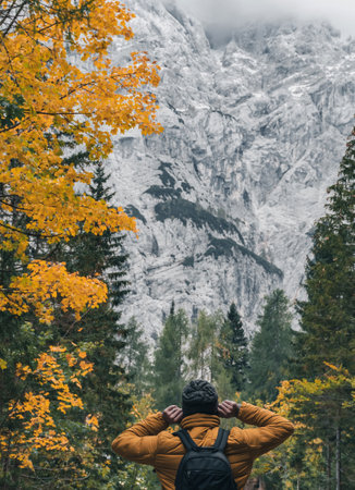 Rear view of male hiker walking on path leading to amazing mountains. Autumn and fall colors of forest at Vrsic mountain pass in Sloveniaの写真素材