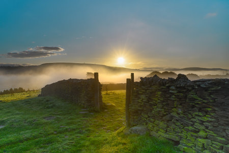 A beautiful shot of a stone wall in the natural landscape