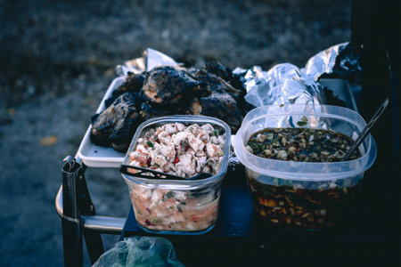 A closeup shot of the grilled meat on the tray with salads prepared for the picnicの写真素材