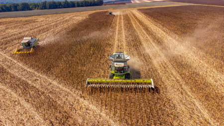 A drone view of grain harvesting in the agricultural fields.の写真素材