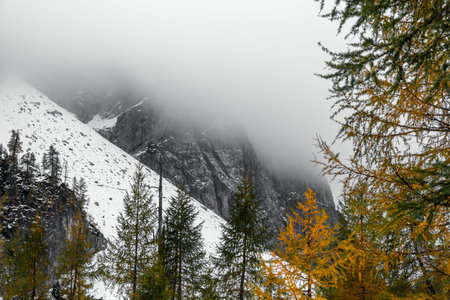 A scenic view of a forest against mountains covered with snow and fog in Julian Alps, Slovenia