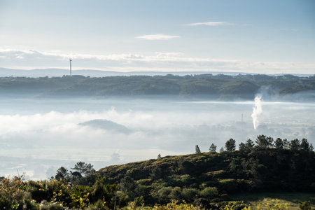 An aerial shot of a morning fog in the fields during the sunriseの写真素材