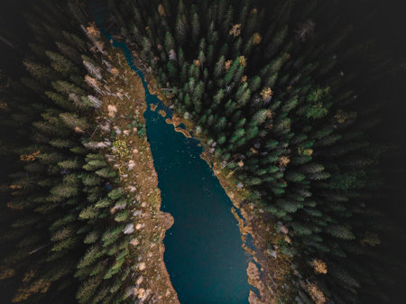 An aerial top view of a lake surrounded by a green pine forestの写真素材