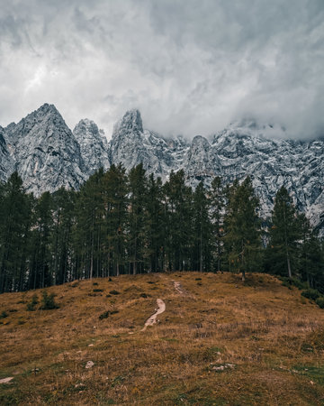 A vertical view of the Vrsic mountain's landscapes and conifers in the Julian Alps in Sloveniaの写真素材