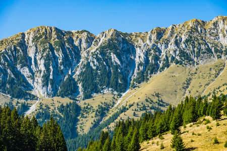 A beautiful view of a mountainous landscape with green treesの写真素材