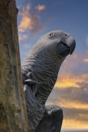 A vertical shot of a parrot with the cloudy skies in the background