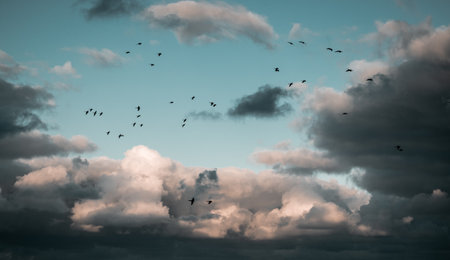 The beautiful cloudscape in the blue sky. The flock of birds flying in the sky.の写真素材