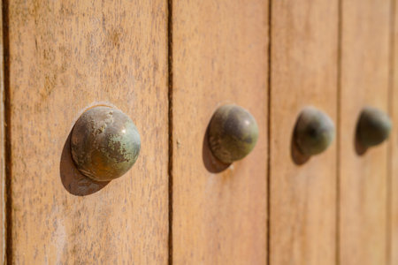 A selective focus shot of big old black metal nails at a vintage old wood door on a sunny day