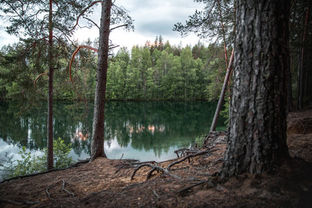 A beautiful view of a tranquil lake with trees reflected on the waterの写真素材