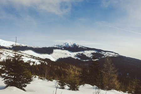 A scenic winter landscape in Low Tatras, Slovakia