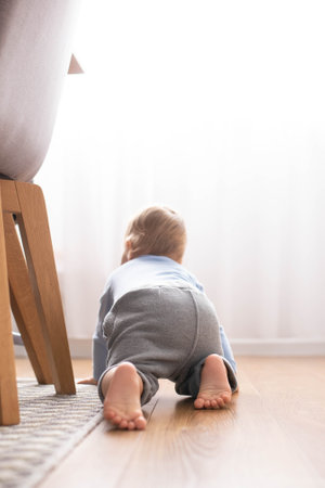 A back view of a baby on the floorの写真素材
