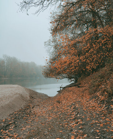 A vertical shot of an autumn park leading to a foggy pond