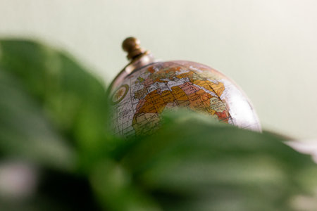 A closeup of a globe figurine with green leaves in the blurred foregroundの写真素材