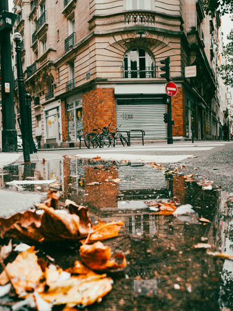 A vertical shot of autumn leaves near the rainwater in the street with the building's reflection in itの写真素材