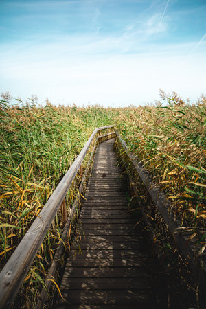 A vertical shot of a wooden dock on a rural field in Espoo, Finlandの写真素材