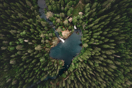An aerial top view of a lake surrounded by a green pine forest