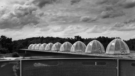A scenic black and white shot of spherical greenhouses surrounded by trees on a cloudy dayの写真素材