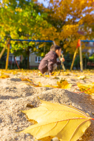 A little boy playing in the park on a sunny dayの写真素材