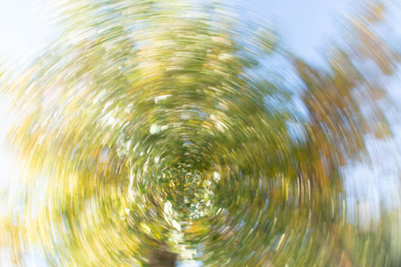A low angle blurred shot of the trees in the forest