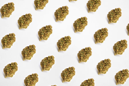 A pattern made of dried cannabis isolated on a white background