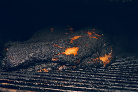 A closeup shot of South Carolina Smoked BBQの写真素材