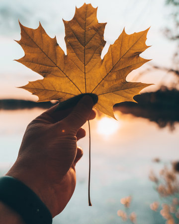 A selective focus shot a man's hand holding a yellow leafの写真素材