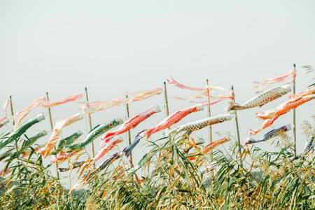 A natural view of fish wind lanterns in a park with tall grasses foreground
