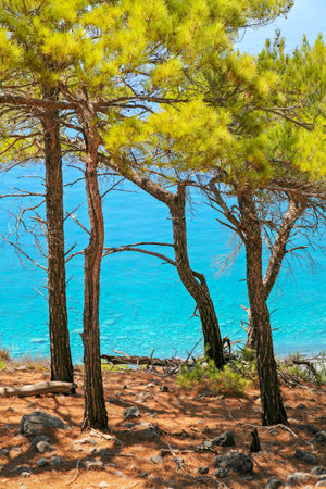 A beautiful view of a large area with green cliffs by the sea against a light sky on a sunny day