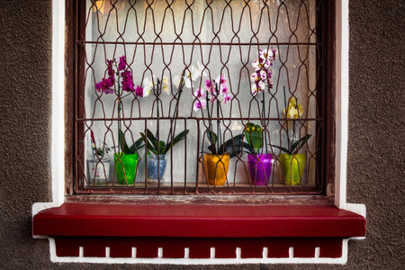 A closeup shot of flowers in pots behind the bars of a window