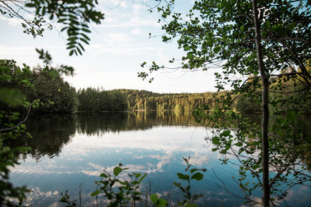 A beautiful view of a tranquil lake with trees reflected on the water under a cloudy sky