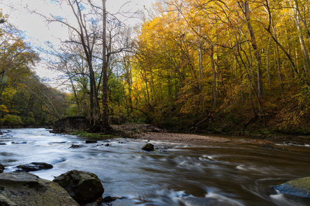 A scenic view of a river flowing in the forest in White Clay Creek State Park, Newark, Delaware