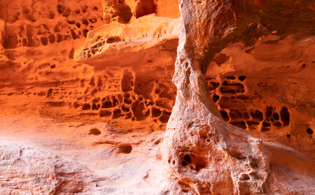 Along the walls of Jenny's Canyon in Utah is a large swath of Honeycomb Weathering and a natural...